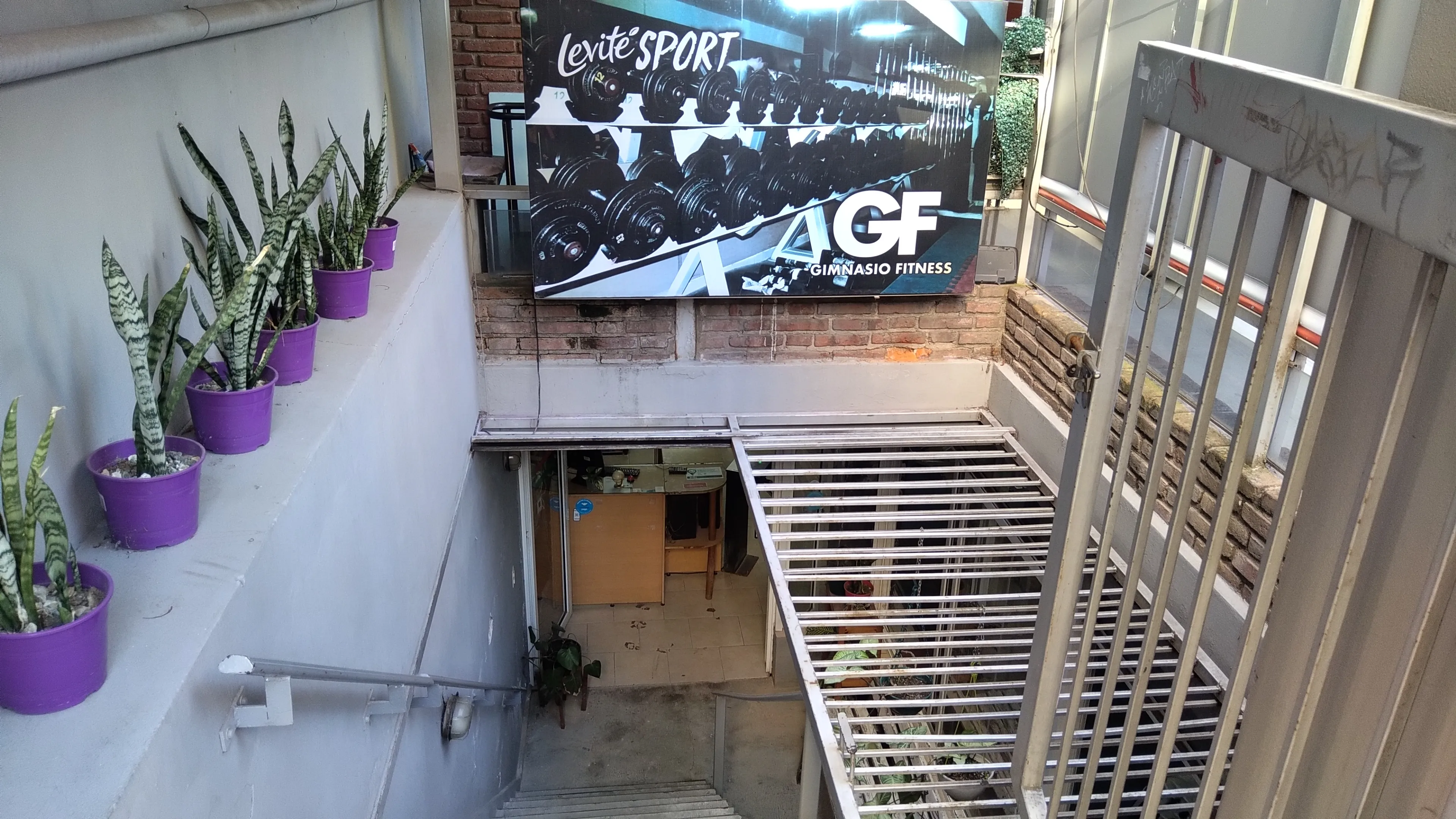 Entrenamiento funcional